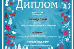 Международ.-конкурс_3-место_Галенда-Диана