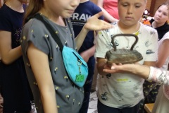 IMG_20210526_151623