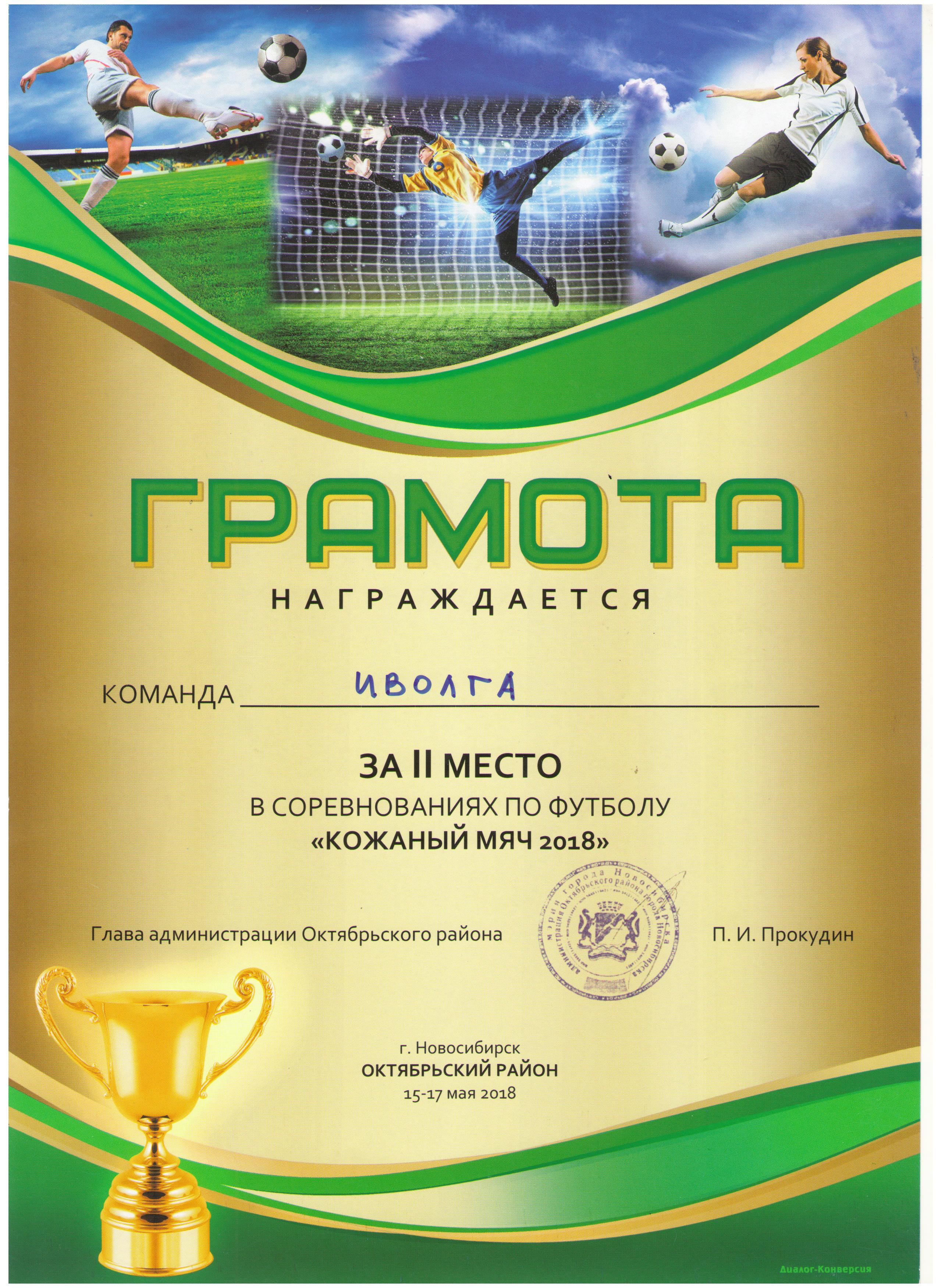Кожаный-мяч_2-место_иволга-08-001