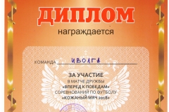 Вперед-к-победам_Кожаный-мяч-001