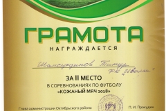 Грамота-каждому_Иволга08_Кожаный-001