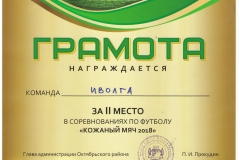 Кожаный-мяч_2-место_иволга-08-001