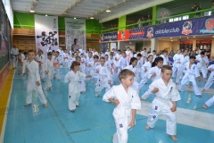 IMG-20220525-WA0013