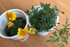 05-фото